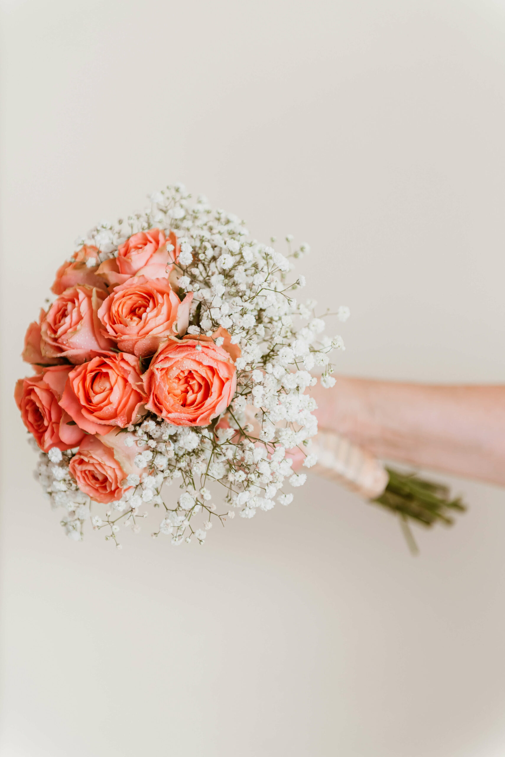 Classy roses